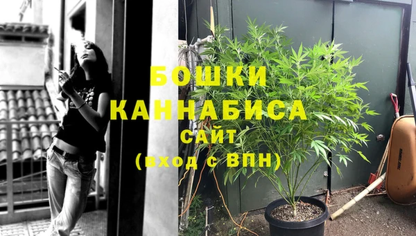mdpv Инта