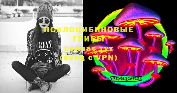 mdpv Инта