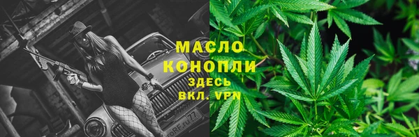 mdpv Инта